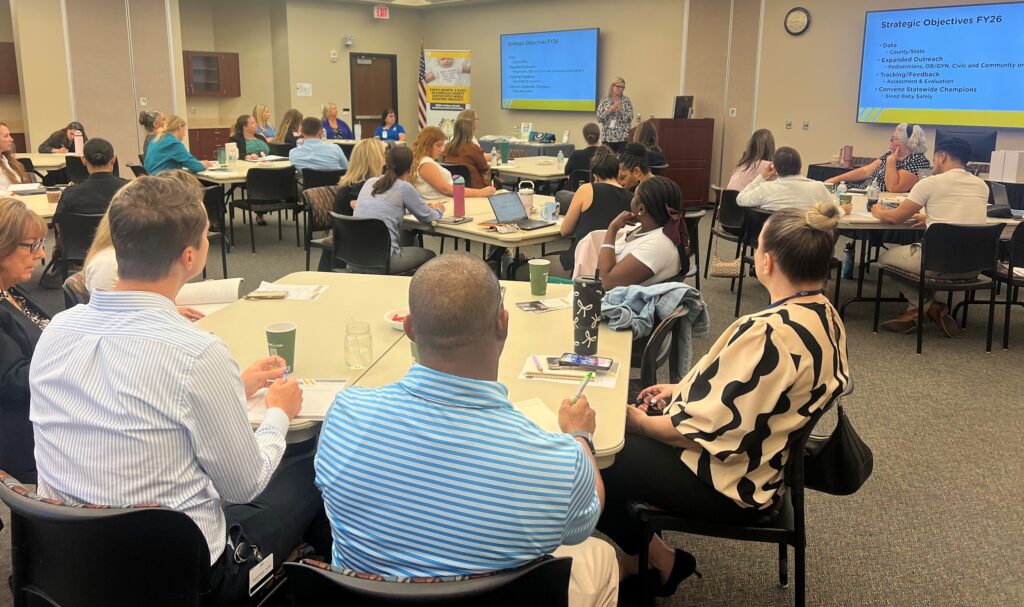 JWB brought together nearly 50 members representing 20 organizations for the Pinellas Preventable Child Deaths Planning Team